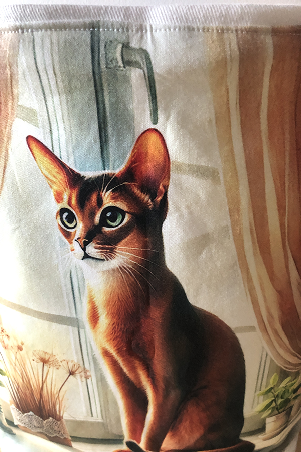 Abyssinian Window Tote Bag - Image 3