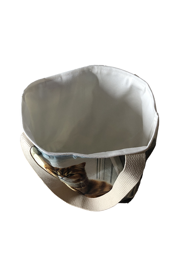 Abyssinian Window Tote Bag - Image 2