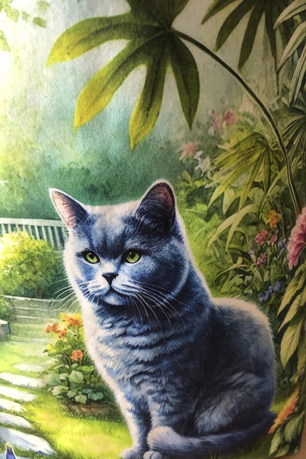 Domestic Shorthair Blue Garden Tote Bag - Image 3